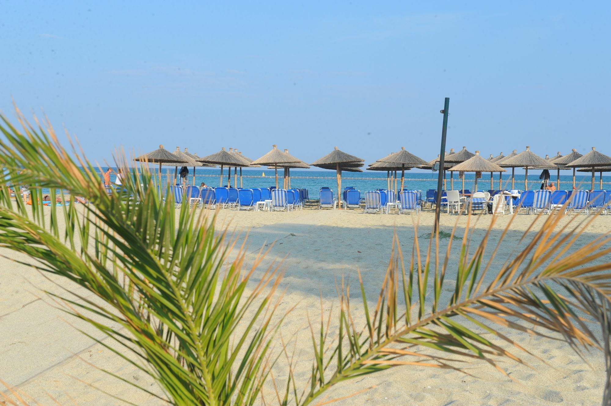 Olympiakí Aktí Hotel Platon Beach מראה חיצוני תמונה